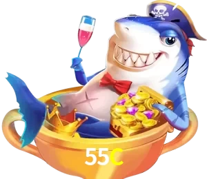 55C